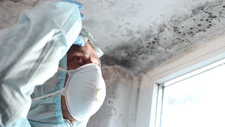 Best Forensic Mold Investigation  in Homer City, PA